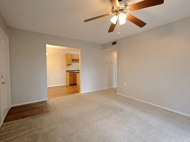 Cozy, Plush Carpeting