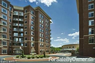 1st image of 4480 Market Commons Dr Unit 105