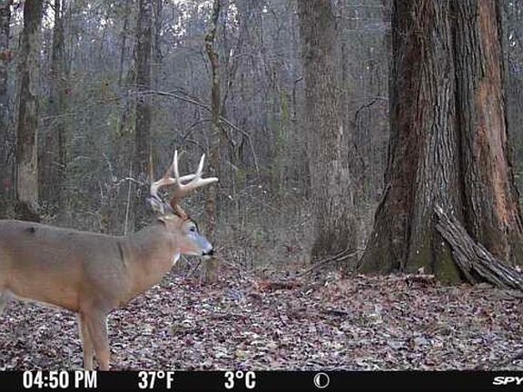 4th image of Swamp Rd Lot A-e