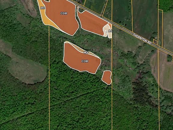 3rd image of Thornton Rd Lot 8