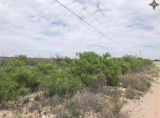 Onsurez Rd, Carlsbad, NM 88220