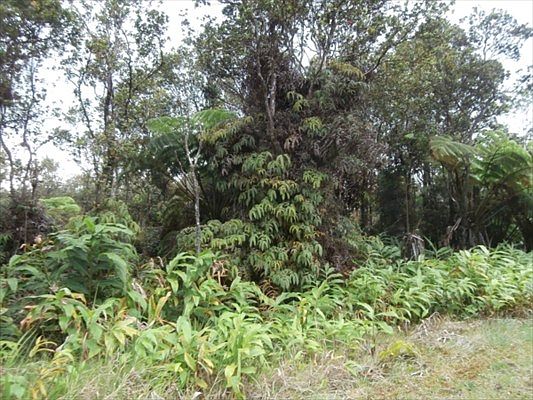 2nd image of Volcano Rd Lot 1517