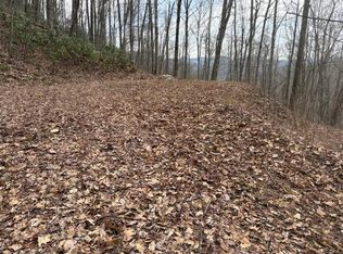 22 Long Creek Ln, Bryson City, NC 28713