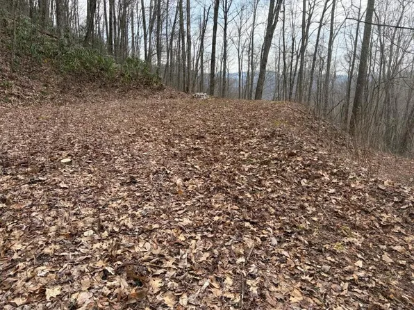 22 Long Creek Ln, Bryson City, NC 28713