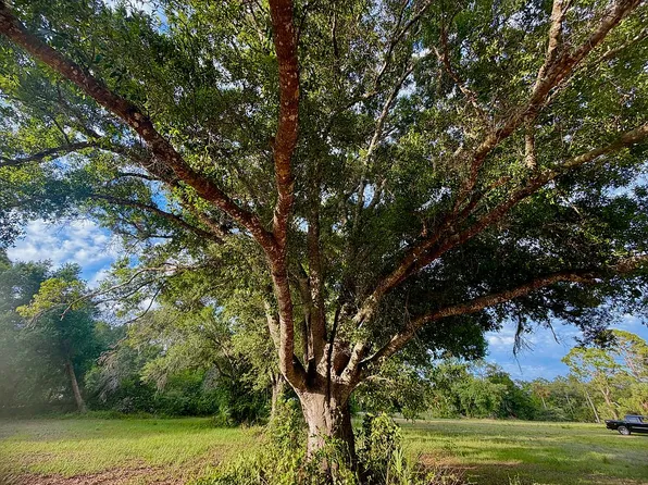6350 Nalle Grade Rd, North Fort Myers, FL 33917