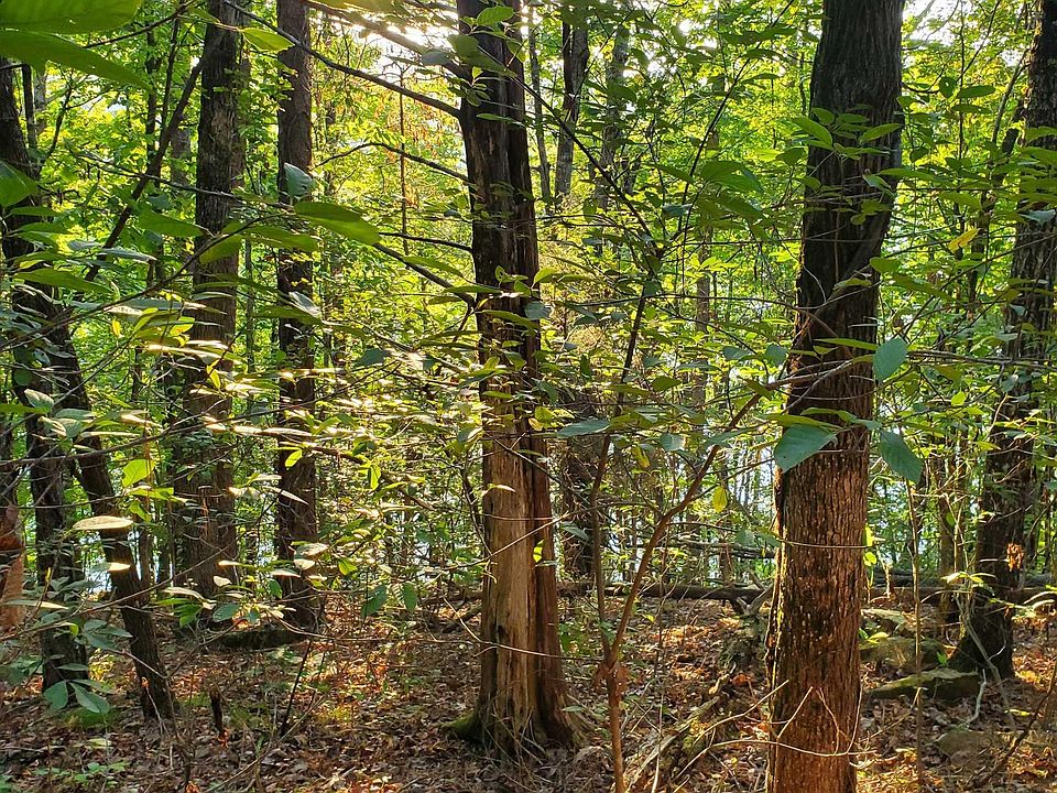 2nd image of (Undisclosed Address)