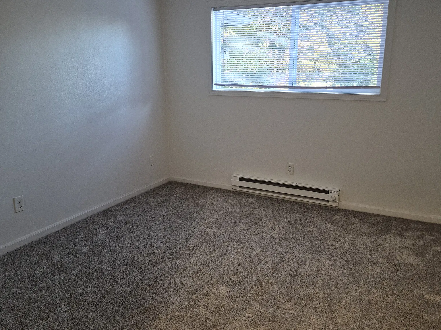 2 bed, 800 sqft, $1,425 — Photo 4