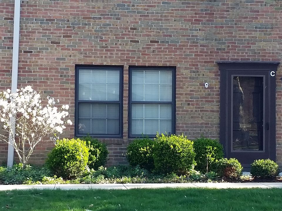 Spring Blooms in Front