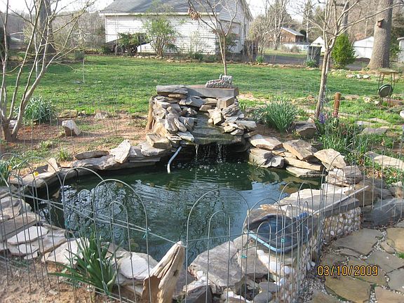 Pond has 18 KOI fish