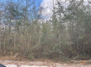 LOT 17 Benji Ln NE, Townsend, GA 31331