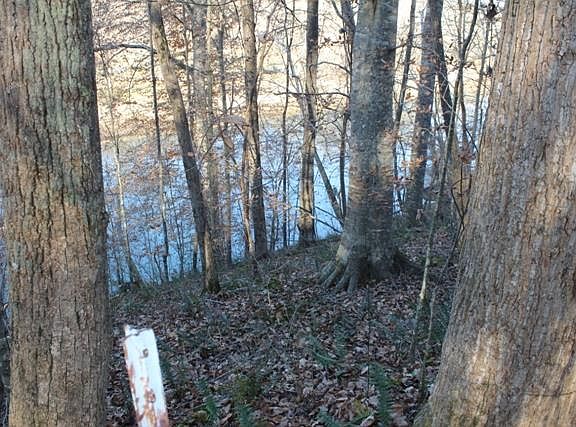2nd image of 43 Collins River Dr Lot 43