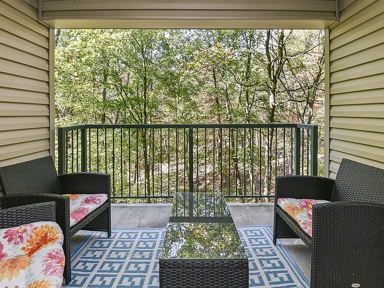 furnished back patio