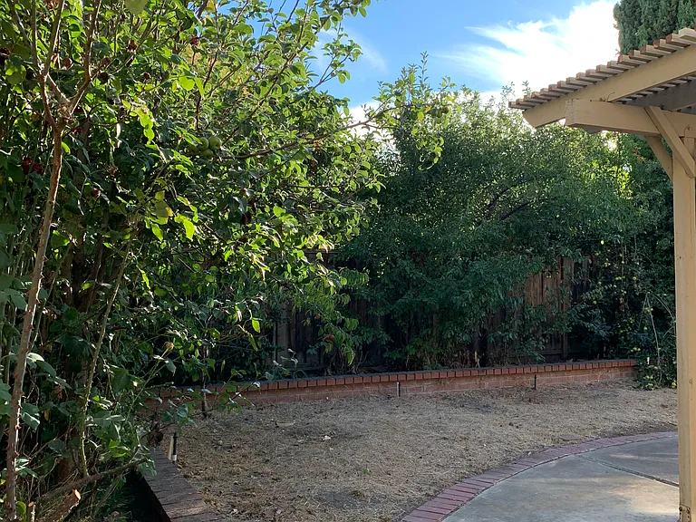 35675 Chaplin Dr — Photo 21