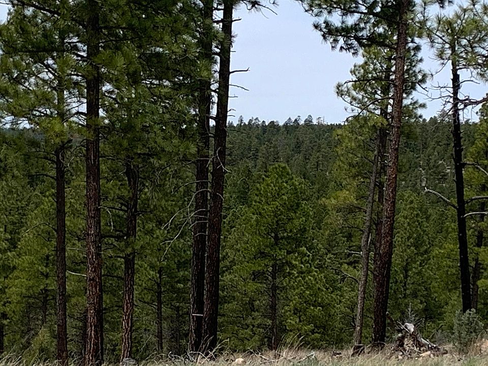 1st image of 1270 Moqui Dr