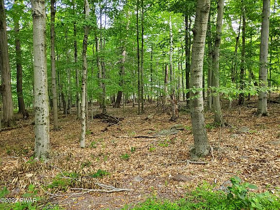 4th image of LOT-686A Hickory Ln