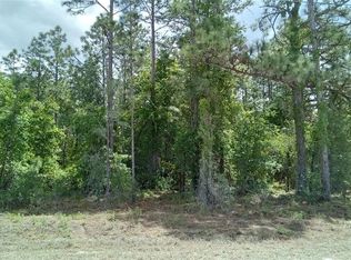 Chimney Swift Rd LOT 14, Brooksville, FL 34614