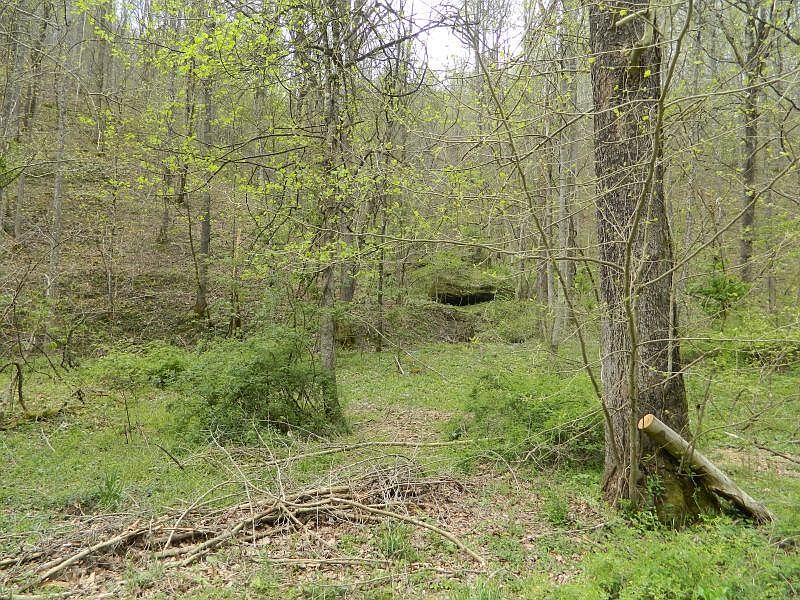 1 Griffith Branch Rd, Jackson, KY 41339 MLS 23006807 Zillow