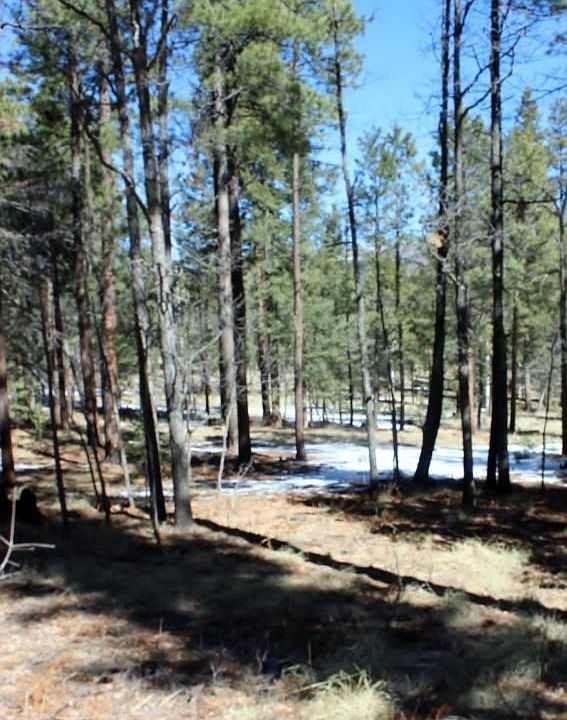 2nd image of Tbd W Alta