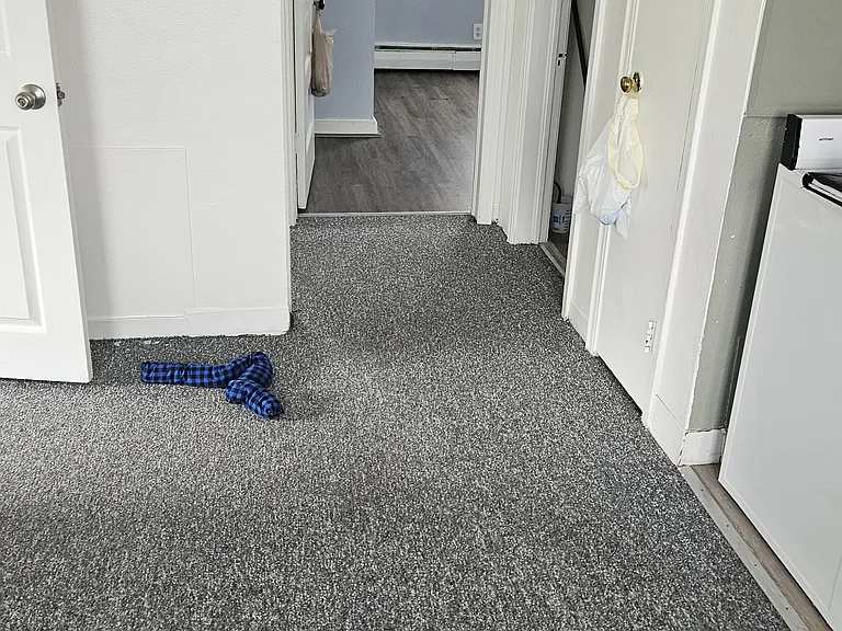 141 County St — Photo 5