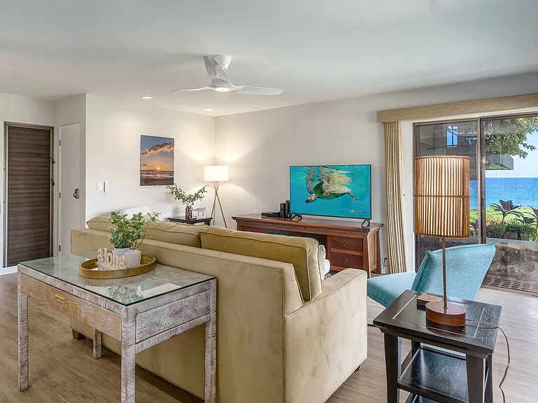 Wailea Alanui Dr — Photo 9