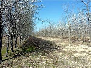 1st image of 2116 Vz County Road 1923