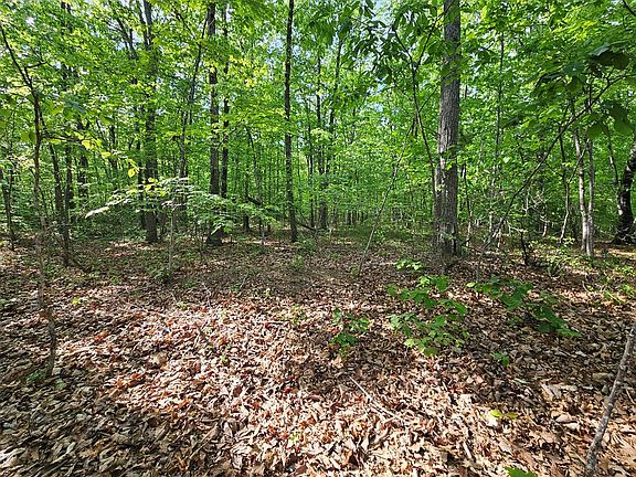 4th image of 627 Axtell Rd