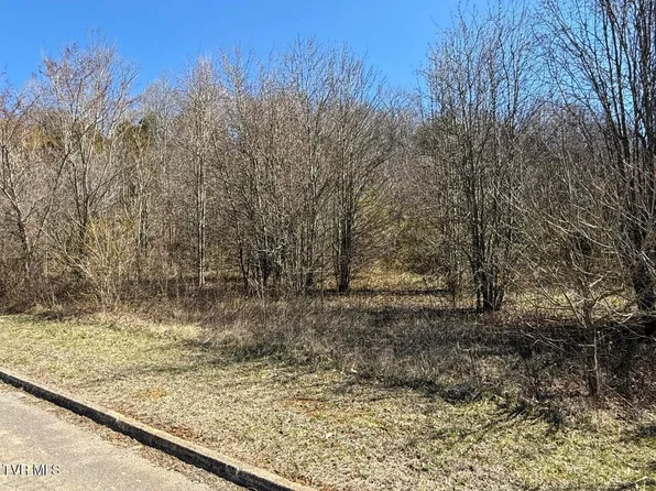 LOT 62 Secluded River Cir, Parrottsville, TN 37843