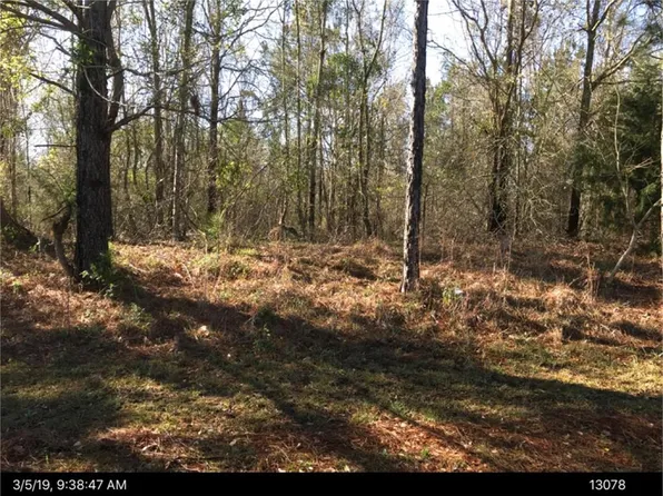 0 Old Nesbitt Rd, Cordele, GA 31015
