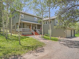 33 Sparrow Ct, Bailey, CO 80421