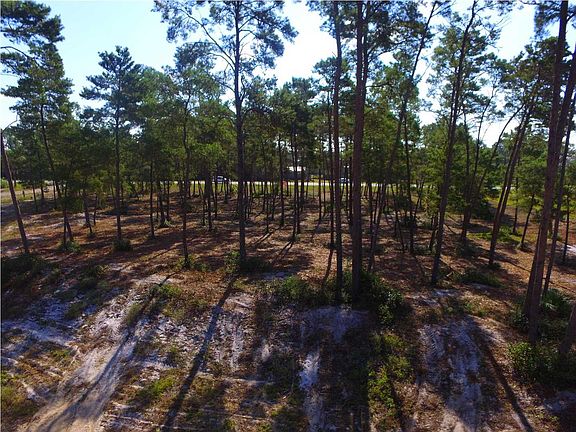 2nd image of 110 Plantation Dr