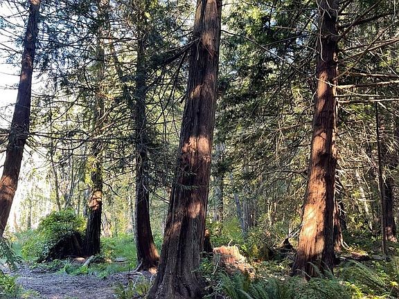 4th image of 6375 Saint Johns Point Rd