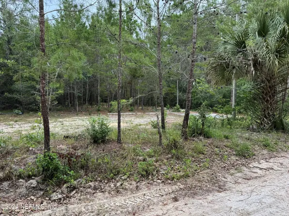 104 SEMINOLE Drive, Satsuma, FL 32189