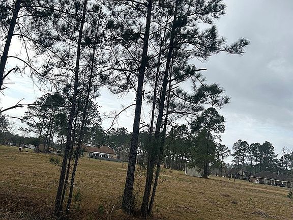 2nd image of 12 George Wise Rd