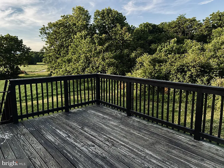 927 Goldmiller Rd — Photo 11