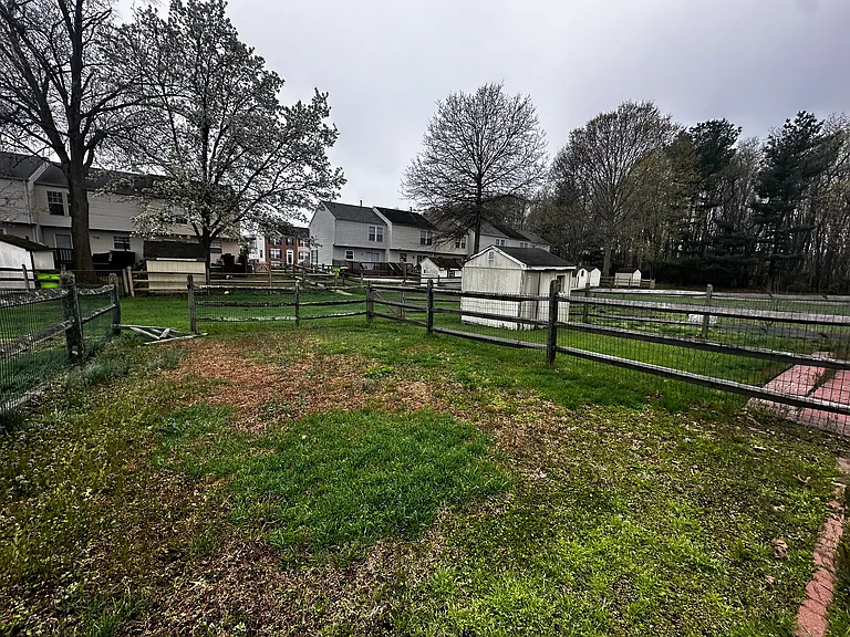 14 Inkberry Ct — Photo 39