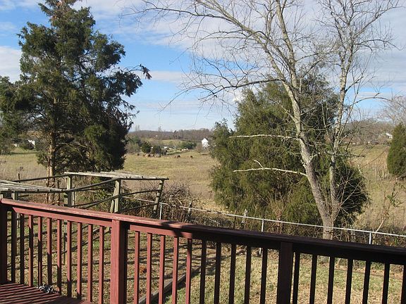 View from Back Deck 2