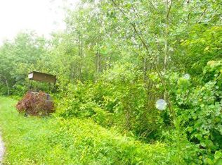 Xx Forest Rd, Hibbing, MN 55747