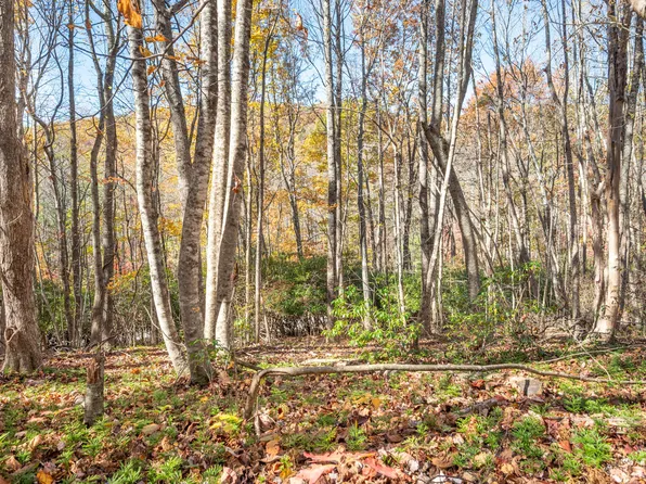 857 Phadettia Rd SW, Willis, VA 24380