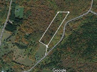 Lily Pond Road, Parksville, NY 12768