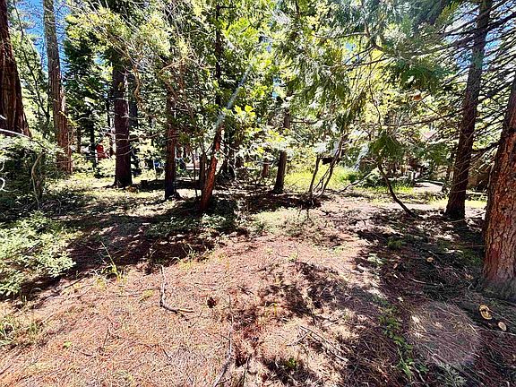 4th image of 7083 5th Ave