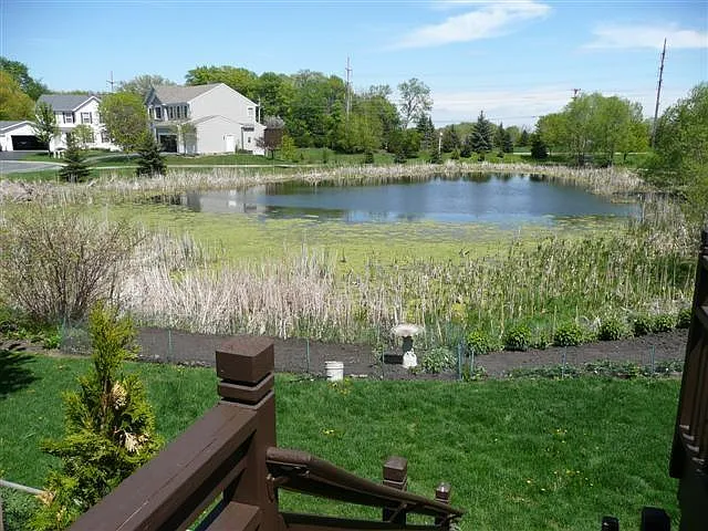 From the deck a view to the pond and privacy from the neighbors by the trees