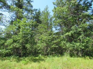 Townline Rd, Lewiston, MI 49756