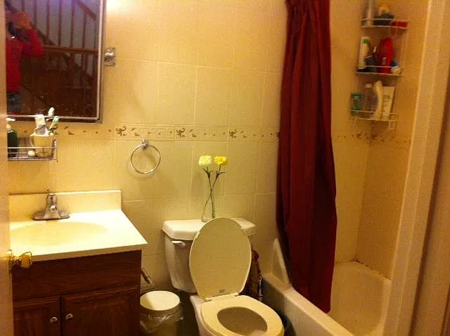 Studio, 700 sqft, $800 — Photo 3