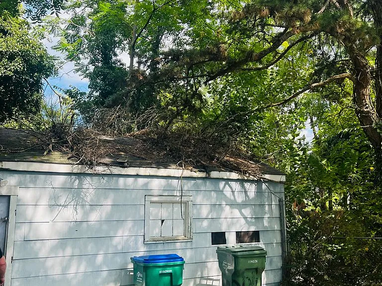 3103 Dill Ave — Photo 35