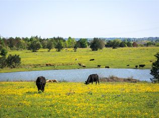 Chadwick Hogan Rd, Chappell Hill, TX 77426