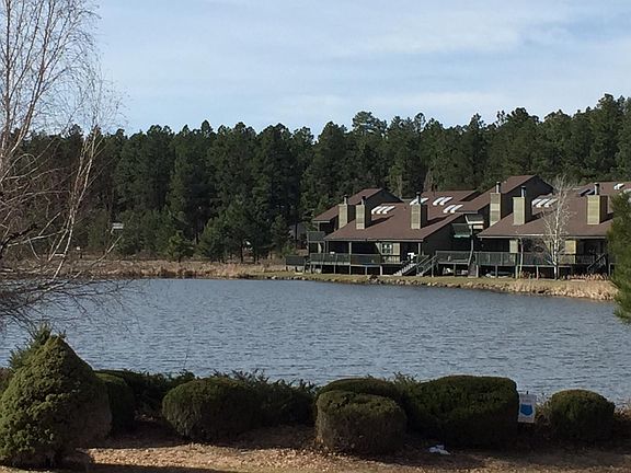 Lake view from the home