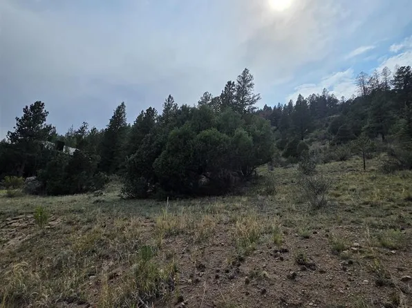 1139 Rio Grande Club Trail, South Fork, CO 81154
