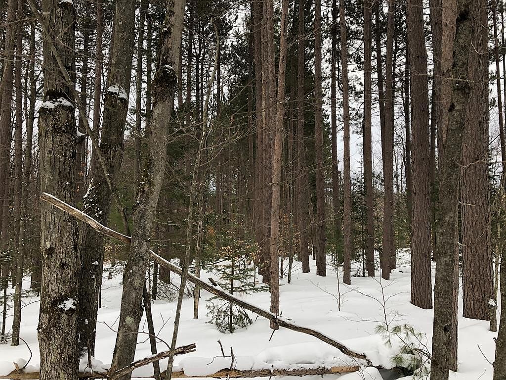 0 Niles Rd, Dickinson Center, NY 12930 Zillow