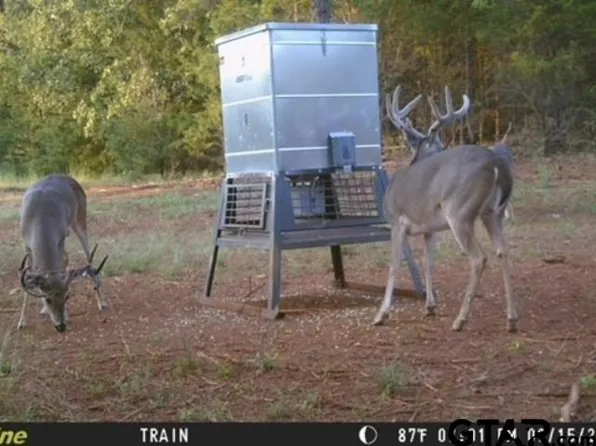 County Road 440, Lindale, TX 75771