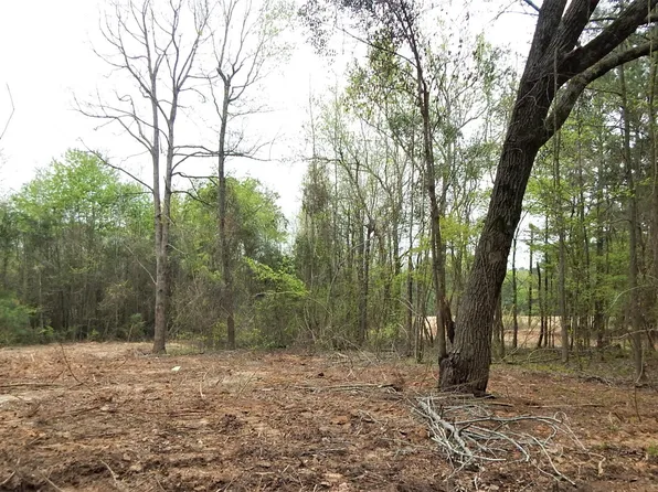 N Iris St Tract 6, Ore City, TX 75683